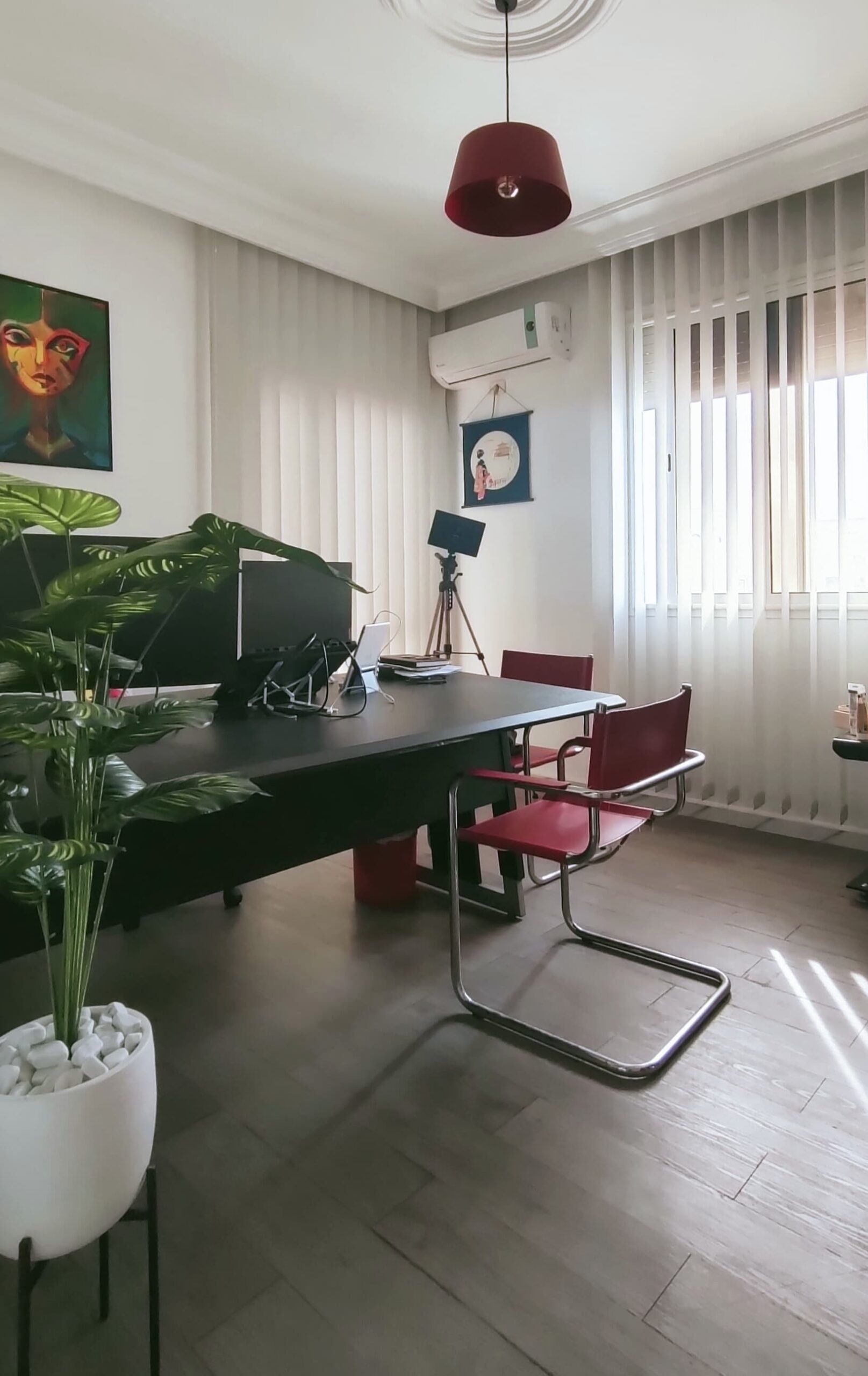 Locaux de Dianthus Studio — photo 4